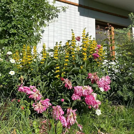 Fiore Bed & Breakfast Biały Dunajec