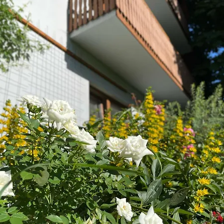 לינה וארוחת בוקר Fiore 3*